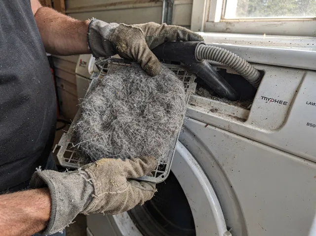 Cleaning Dryer Lint Trap in Wildomar